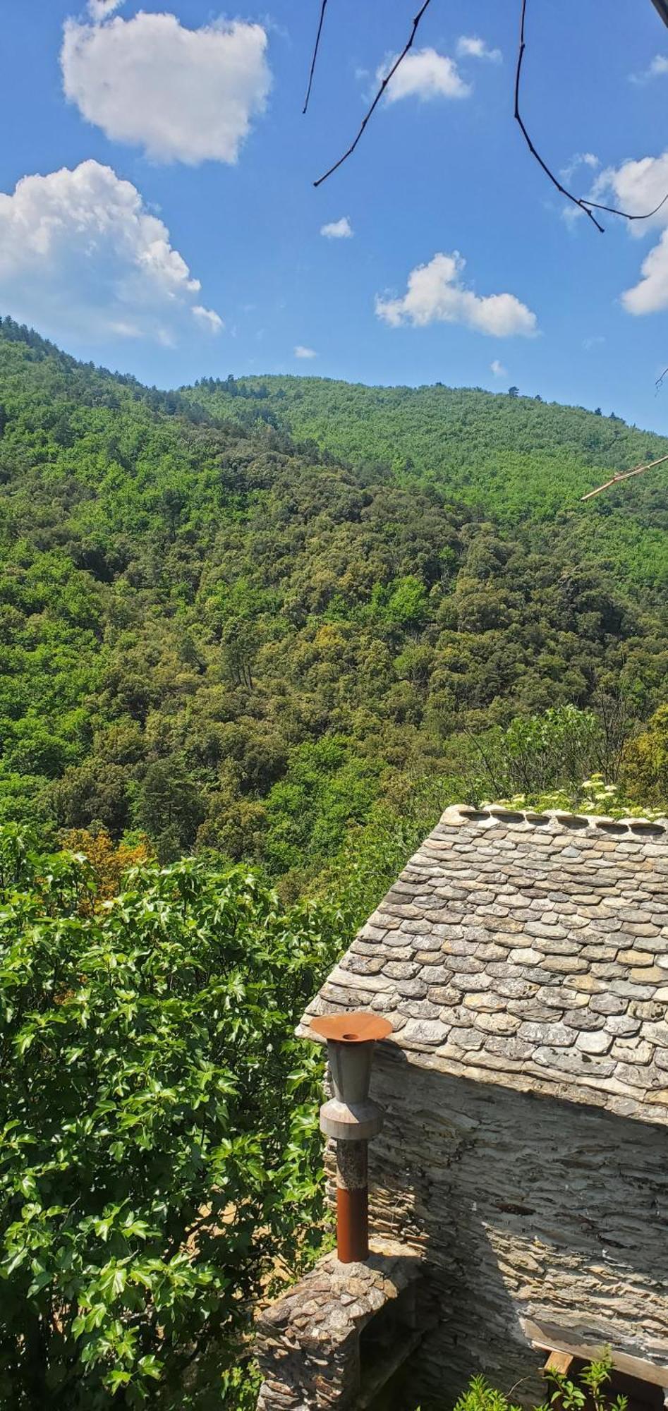 Gite De Combelebouze En Cevennes - Cosy, Confort Et Climatise - 3 Etoiles Saint-Privat-de-Vallongue Eksteriør bilde